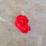 ranuncoli di carta crespa bouquet