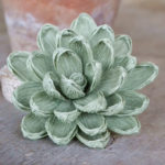 Succulente di carta crespa per bouquet - immagine 3