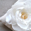 Cuscino porta fedi Peonia - immagine 2